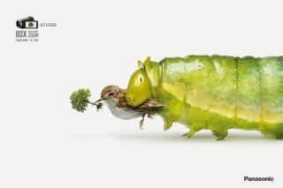 Panasonic: Get Closer